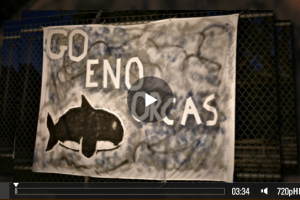 Kids Swim Season – Eno Valley Orcas